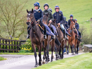 AK060423-6 - Horses coming from warm up